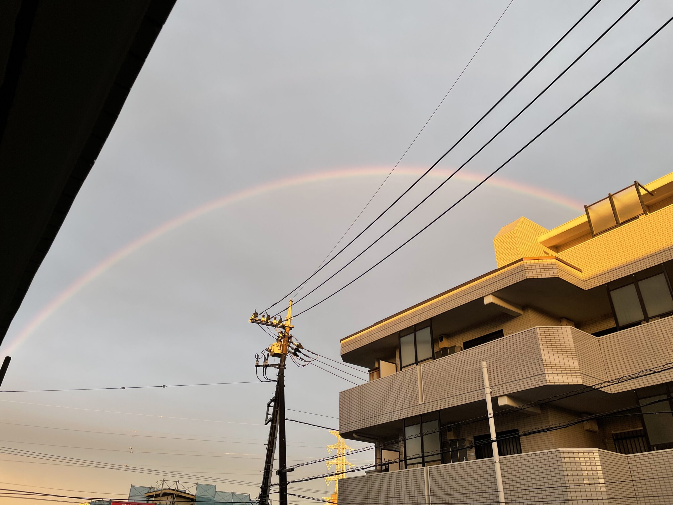 夕方の虹🌈