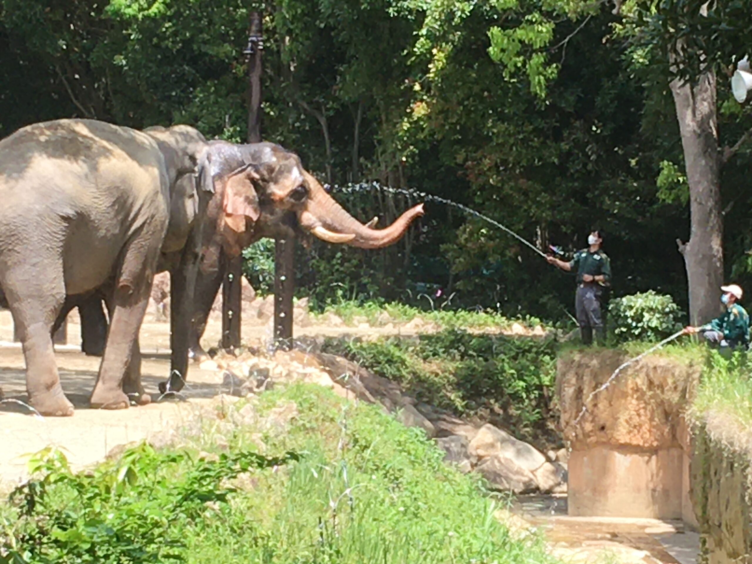 ズーラシアに行ってきました