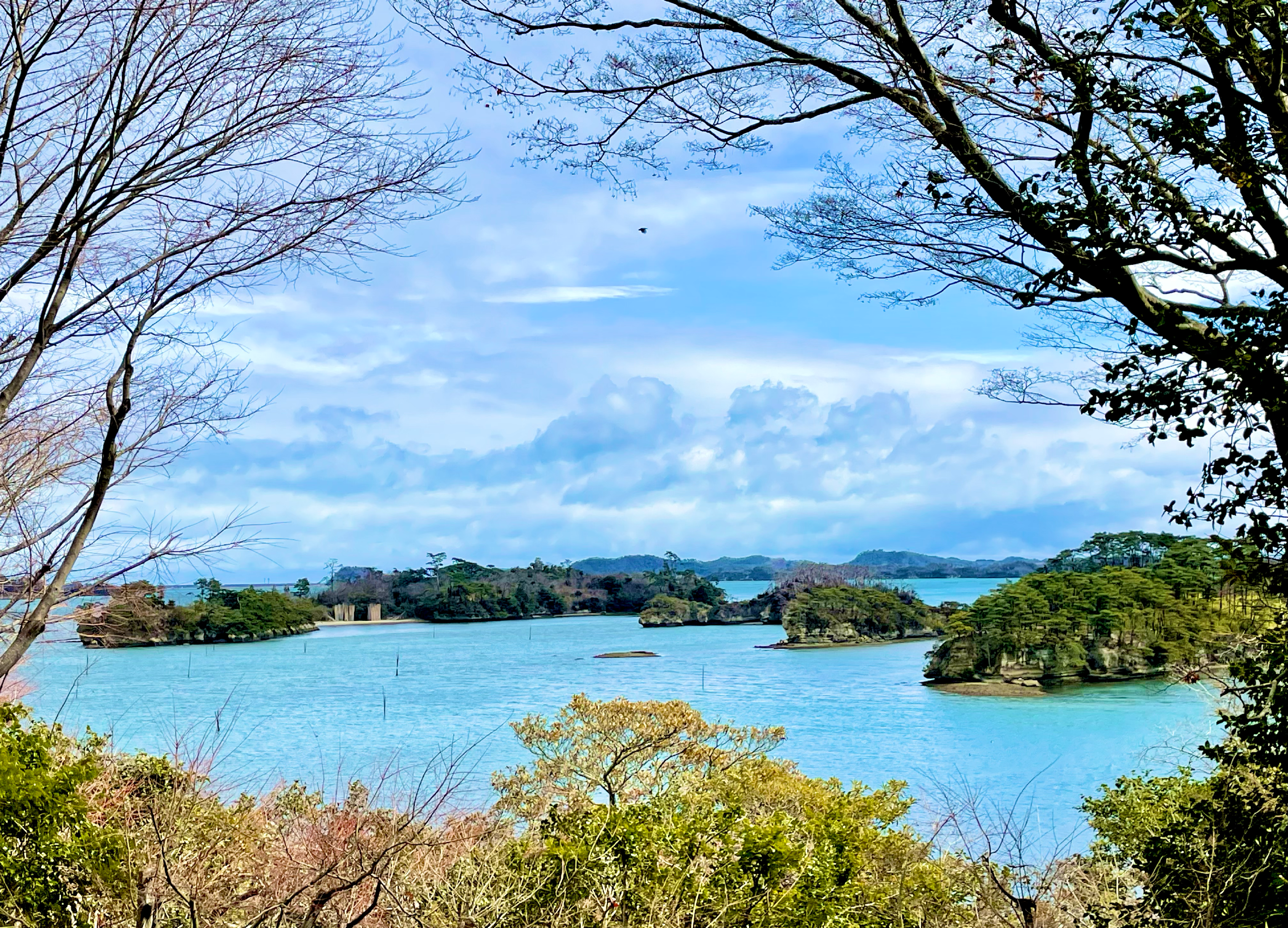 松島旅行