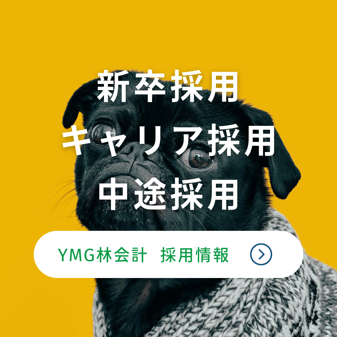 【就活生の皆様へ】あなたのキャリアに輝きを、YMG林会計で！！