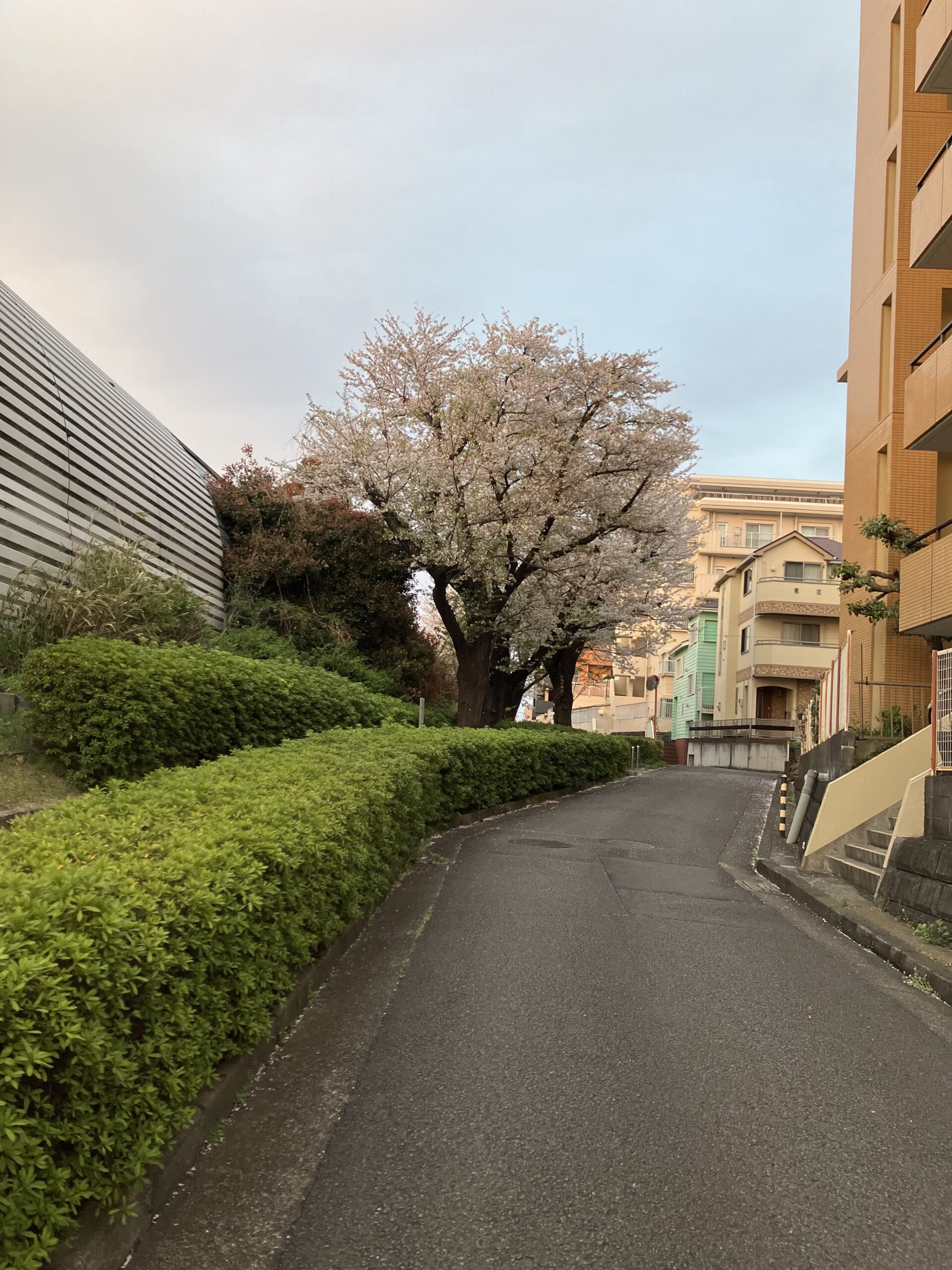 気分すっきり