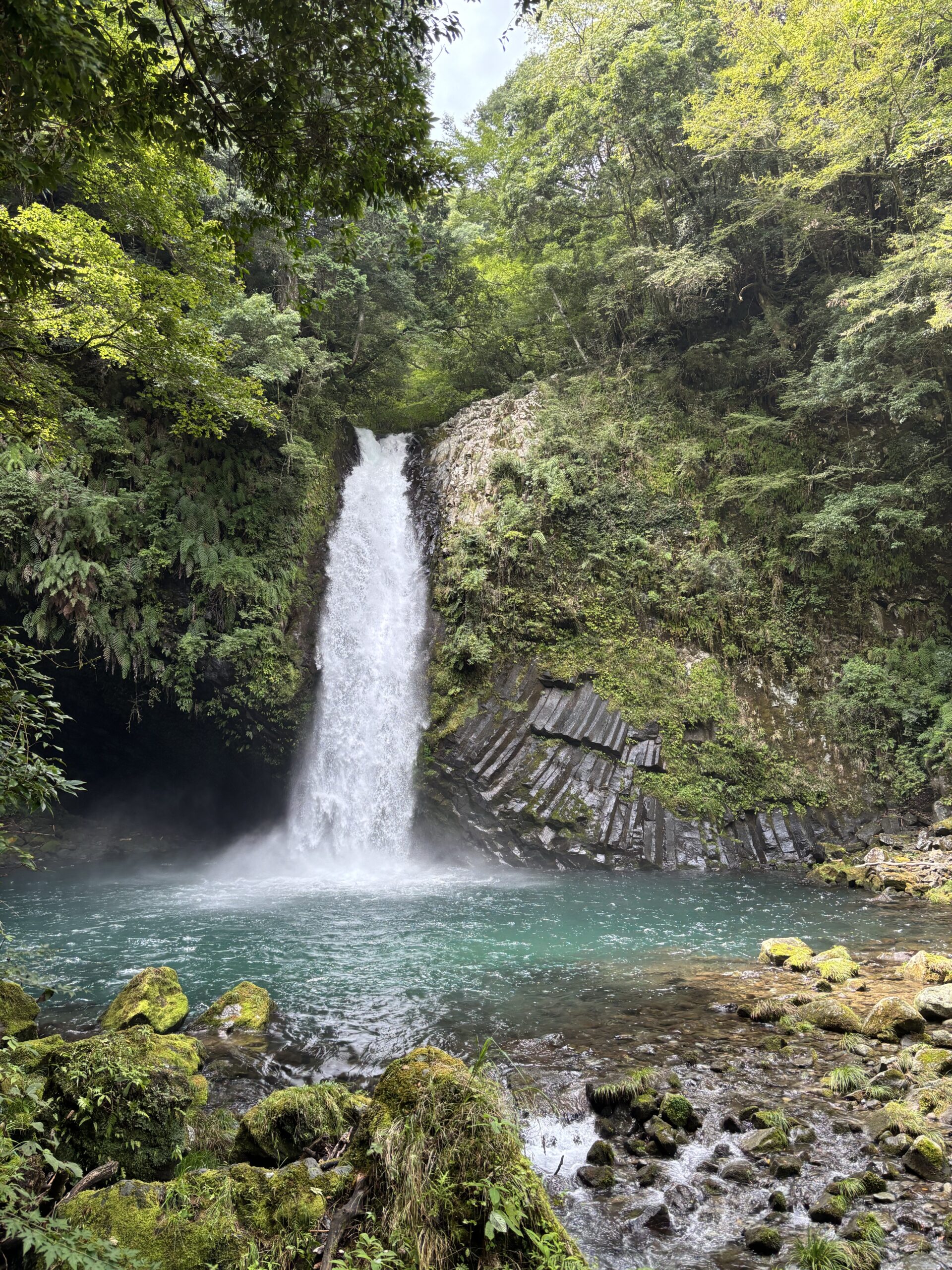 静岡へ行ってきました。