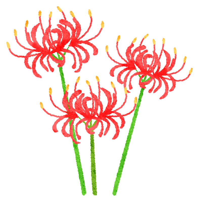 彼岸花
