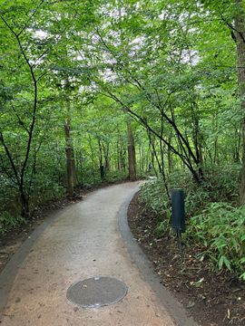 軽井沢
