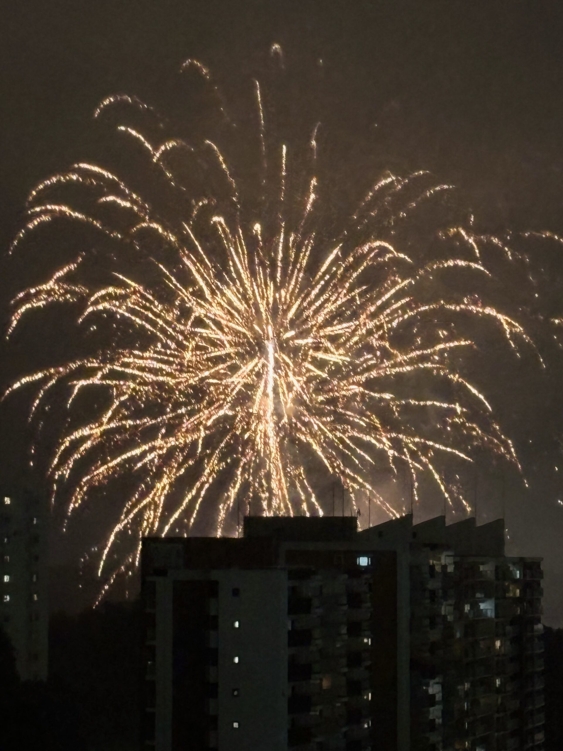 横浜若葉台花火大会