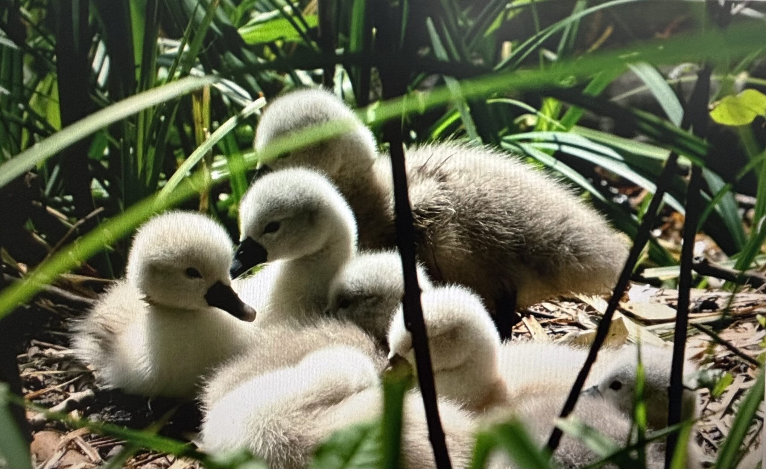 春と同じで少しずつ