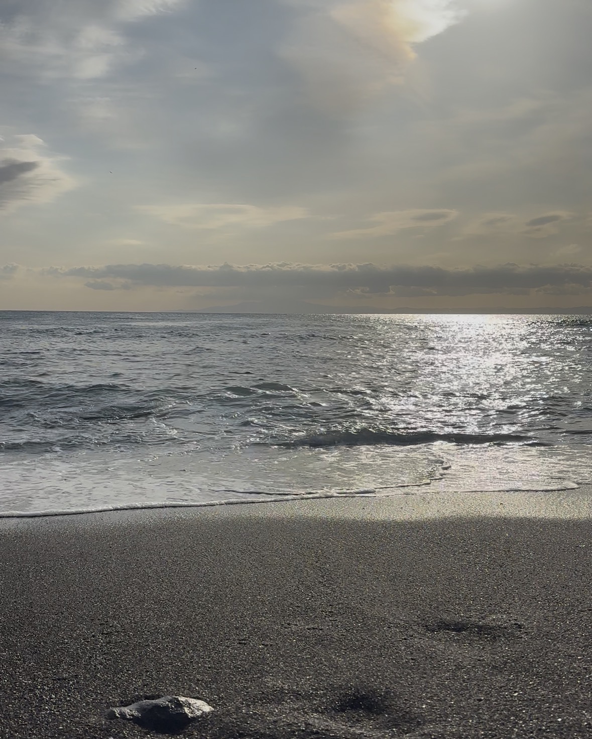 確定申告のいきぬき