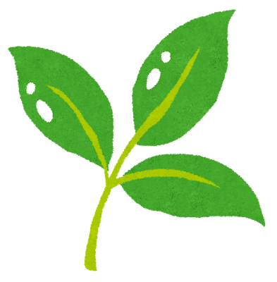 暖かくなって来ました。