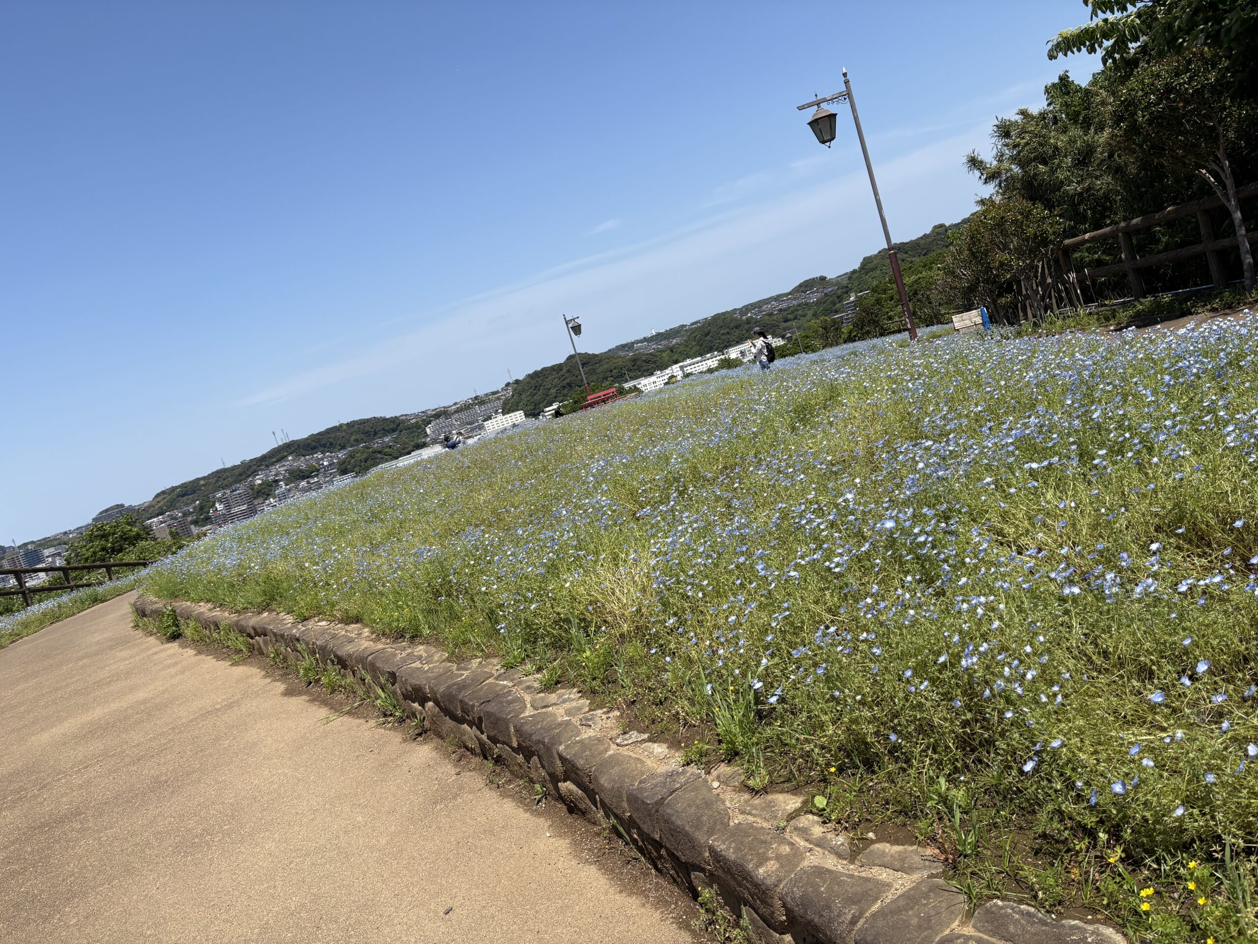 新入社員のGW