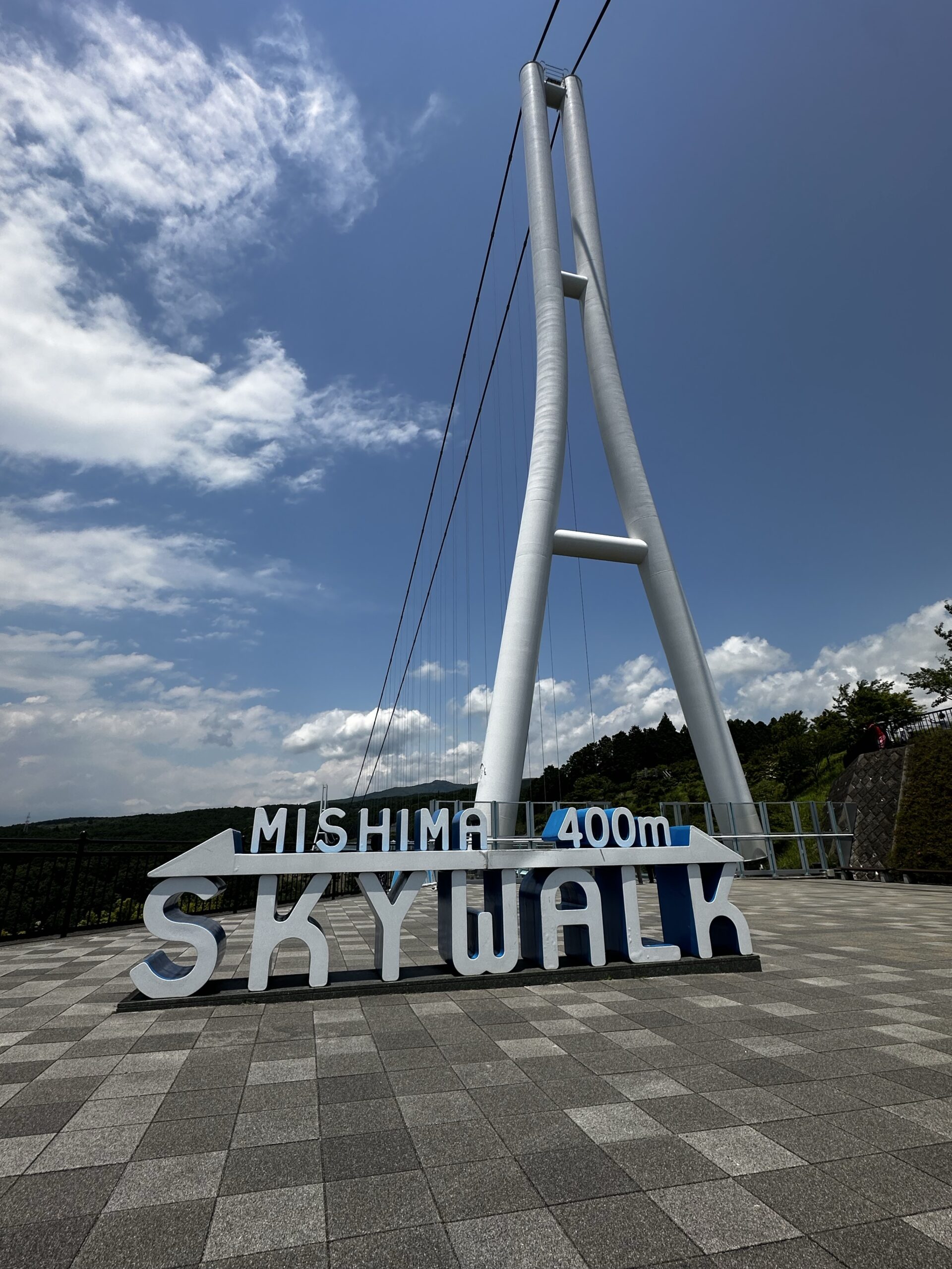 日頃の忙しさを忘れる西伊豆の旅